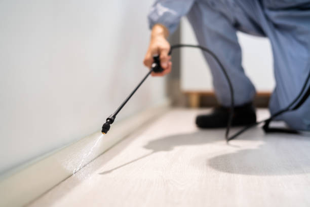Licensed Cockroach Control service in Waterbury, CT - Nex Pest Control