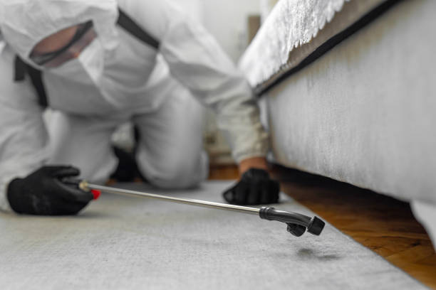 Professional Cockroach Control technician working in Waterbury, CT