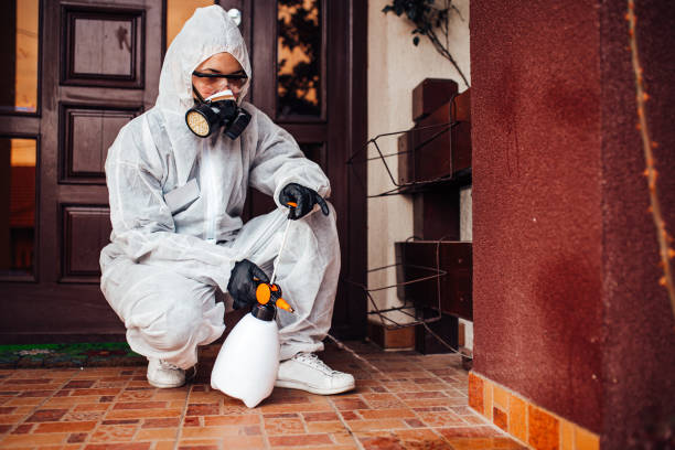 Reliable Cockroach Control contractor in Waterbury, CT by Nex Pest Control